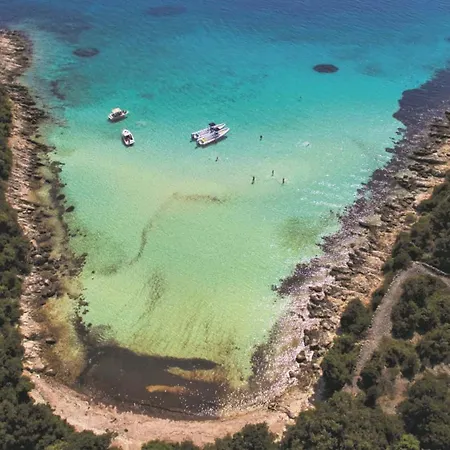 Cosy - Island
