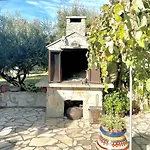 Cosy - Island * Olib